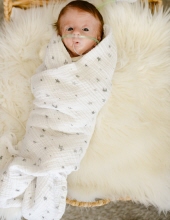 Ryker James Brugh